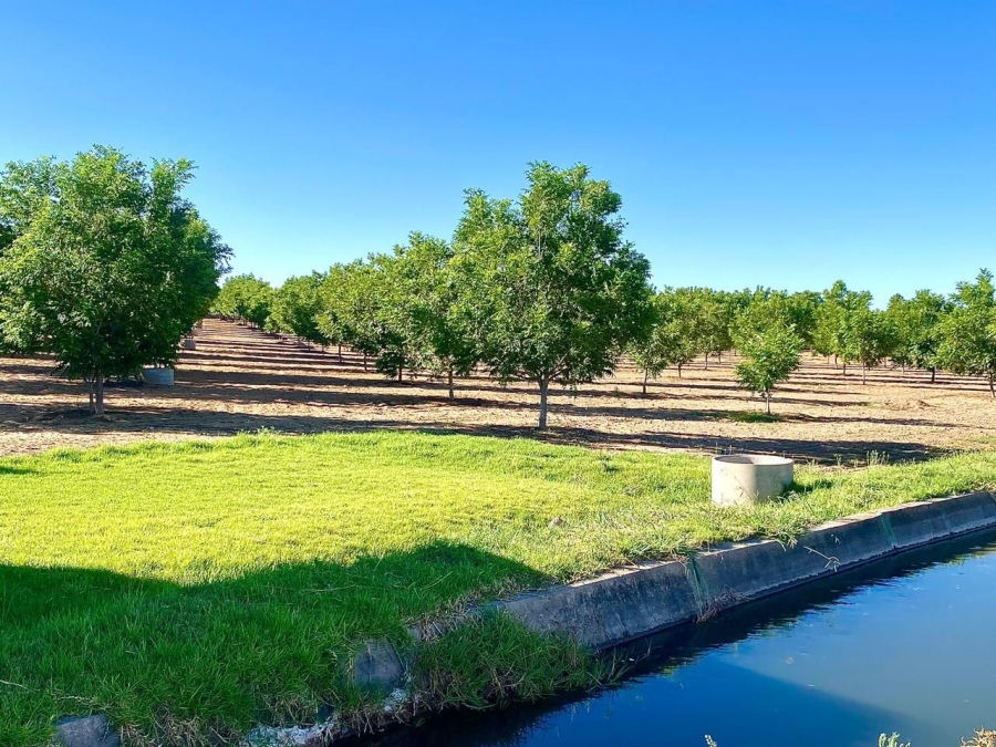 12 Bedroom Property for Sale in Douglas Rural Northern Cape